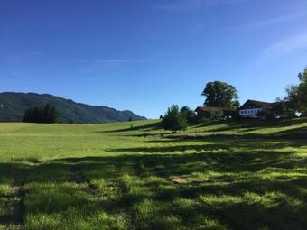 Modern Apartment In Lindegg With Balcony