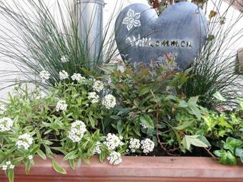 Hotel G�stehaus Auszeit