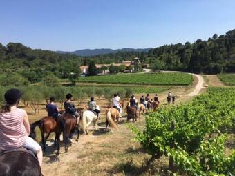 Domaine Calmel & Joseph