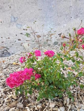 Bed & Breakfast Clos Sainte Catherine