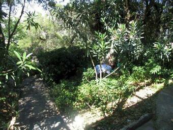 Traditional Rooms Elena