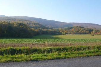 Apartamento Vadsz?l? Vend�gh�z