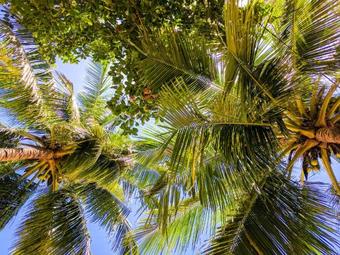 Hotel Panorama Backpackers