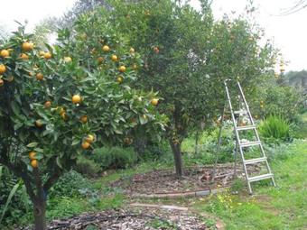 Apartamento Bed & Blintzes