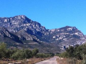 Hostal-restaurant Pous De La Neu