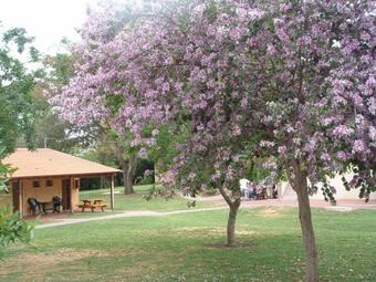 Hostal Kibbutz Gadot Guesthouse