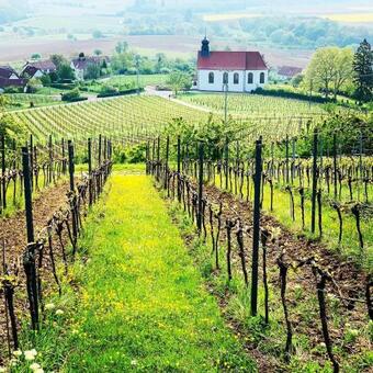 Apartamento Villa Mandelbl�te