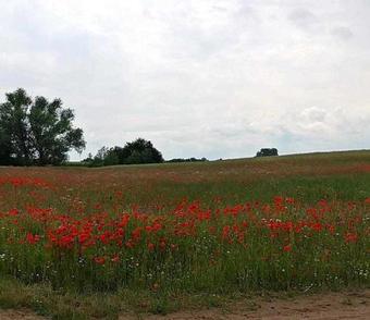 Apartamento Ferienwohnung Gerswalde Uck 1081