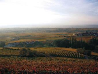 Posada Sankt Annagut