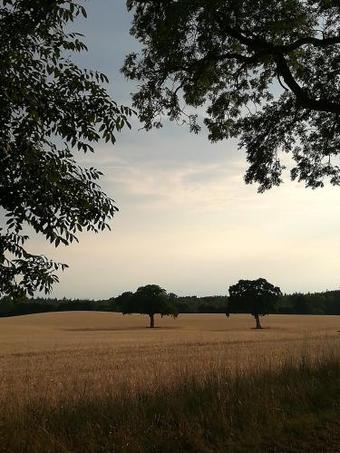 Apartamento Fereinwohnung "bungsbergblick" - [#92727]