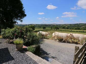 Llety'r Wennol