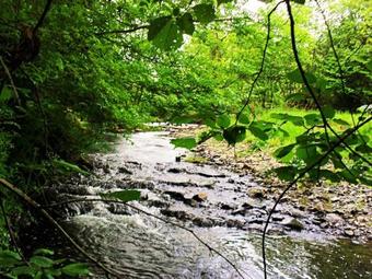 Lobhill Farmhouse Bed And Breakfast