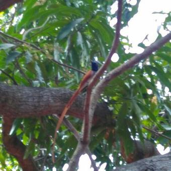 Hostal Purity Guest House