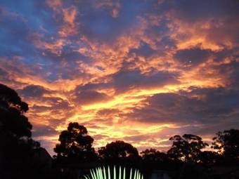 Sanddancers Bed & Breakfast In Jervis Bay