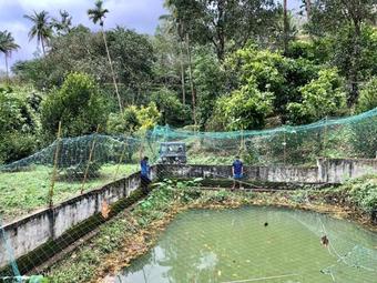Agroturismo Nutmeg Valley