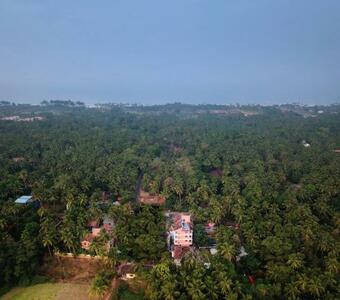 Hotel Treehouse Nova