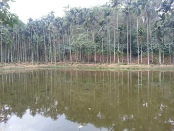 Agroturismo Misty Villa Estate Stay