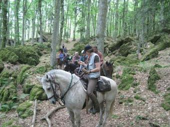 Case Vacanze, Agriturismo Ridolla