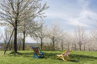 Agroturismo Cascina Cerola Farm Stay
