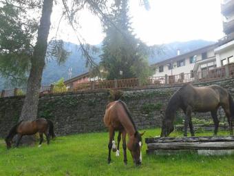 Bella Italia & Efa Village