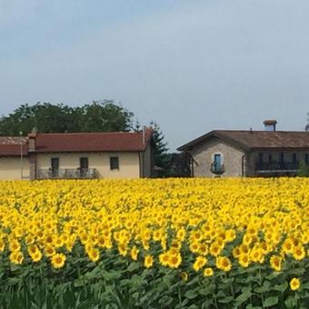 Agroturismo Agriturismo Borgo Chiasalp