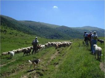 Apartments In Castiglione Messer Raimondo/abruzzen 27482