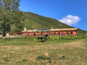 Agroturismo Agristurismo Casale Montebello