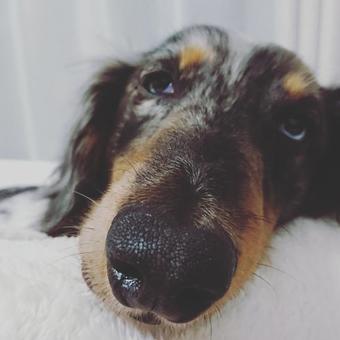 Agroturismo With Nature