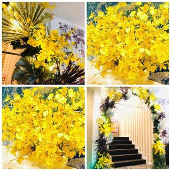 Hotel Brooks (adult Only )