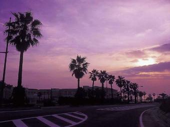 Hotel & Resort Sunshine Sazanseto