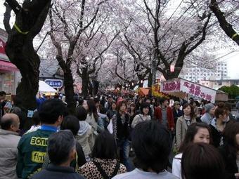 Hostal Higashi Matsudo Home, Narita Ap Direct