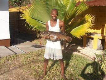 Villa Tropical Garden House