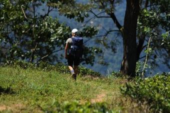 Wild Glamping Knuckles