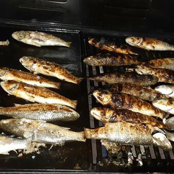 Banana Garden Hotel Madiha