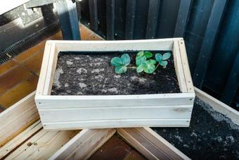 Apartamento Lap?s Namai