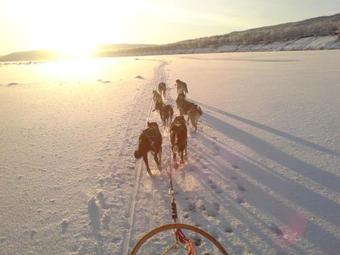 Lodge Winther Tourism