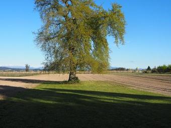 Bed & Breakfast River Road Retreat