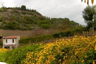 Agroturismo Aura V�nea