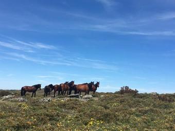 Agroturismo Casa Da Fonte