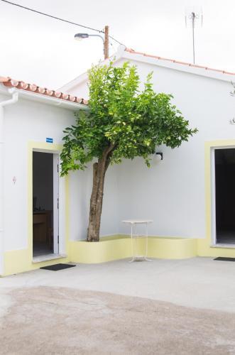 Agroturismo Oliveira Country House