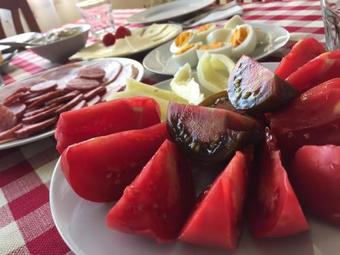 Bed & Breakfast Bosny�k Panzi�