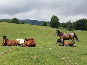 Hostal Casa Din Piatra