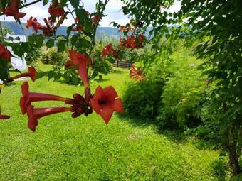 Agroturismo Konaciste Svedrana