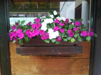 Agroturismo Domacinstvo Prentovic