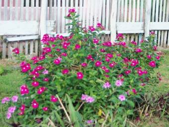 Pousada Dos Cora��es