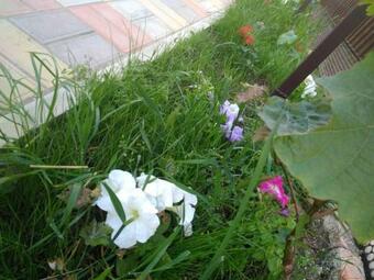 Apartamento Ahtarskij Dvorik