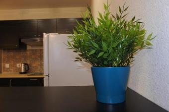 Apartamento Marokkansky Loft