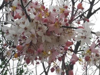 Hotel High Hill Fresh Resort