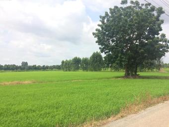 Hotel Tai Baan Resort