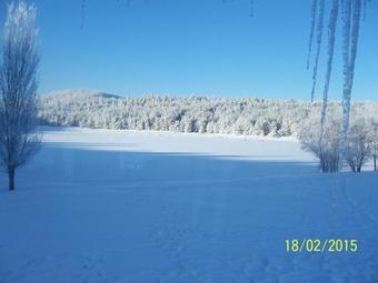 Kaya Greenpark Hotel